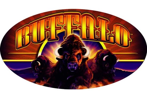Buffalo