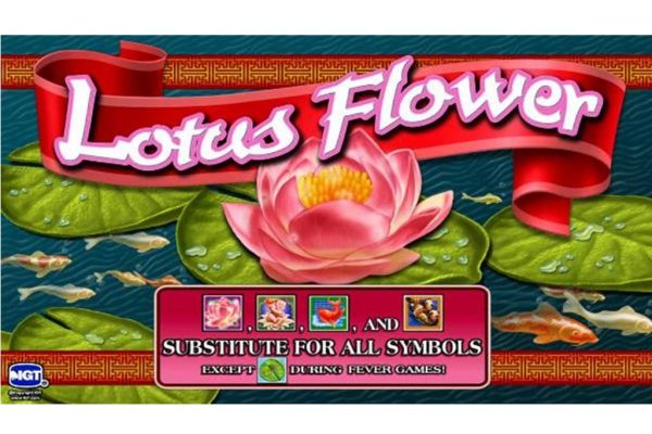 Lotus Flower