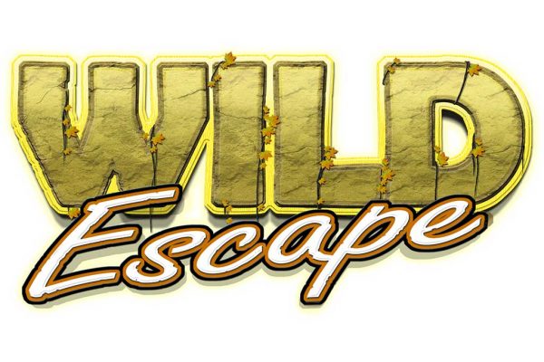 Lock It Link Wild Escape